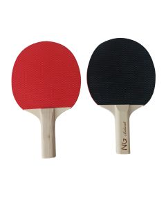 Coppia Racchette Ping Pong (alto controllo)