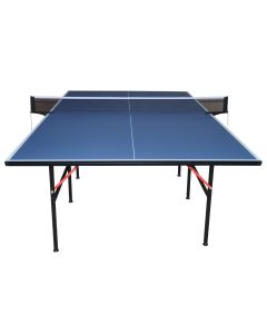 PING PONG regolamentare MASTER INTERNO (blu)