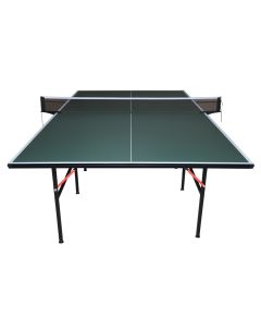 PING PONG regolamentare MASTER INTERNO (verde)