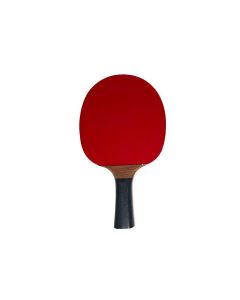 Racchetta Ping Pong NG PERFORMANCE &ndash; 3 STELLE