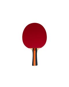 Racchetta Ping Pong NG SPORT &ndash; 2 STELLE