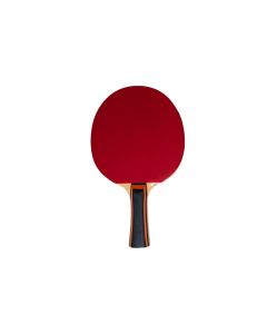 Racchetta Ping Pong NG START &ndash; 1 STELLA