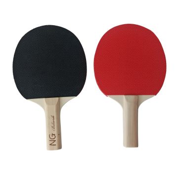 Coppia Racchette Ping Pong (alto controllo)