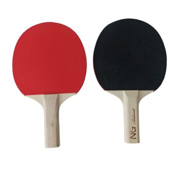 Coppia Racchette Ping Pong (alto controllo)