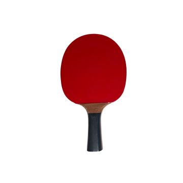 Racchetta Ping Pong NG PERFORMANCE – 3 STELLE