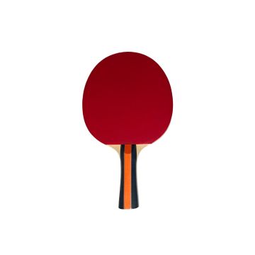 Racchetta Ping Pong NG SPORT – 2 STELLE