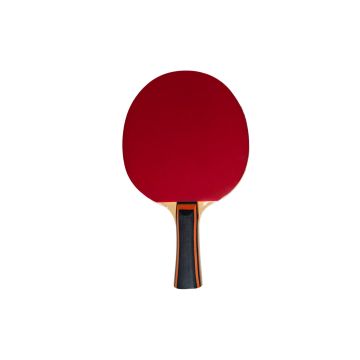 Racchetta Ping Pong NG START – 1 STELLA