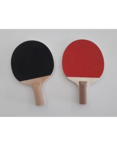 Coppia Racchette Ping Pong (alto controllo)